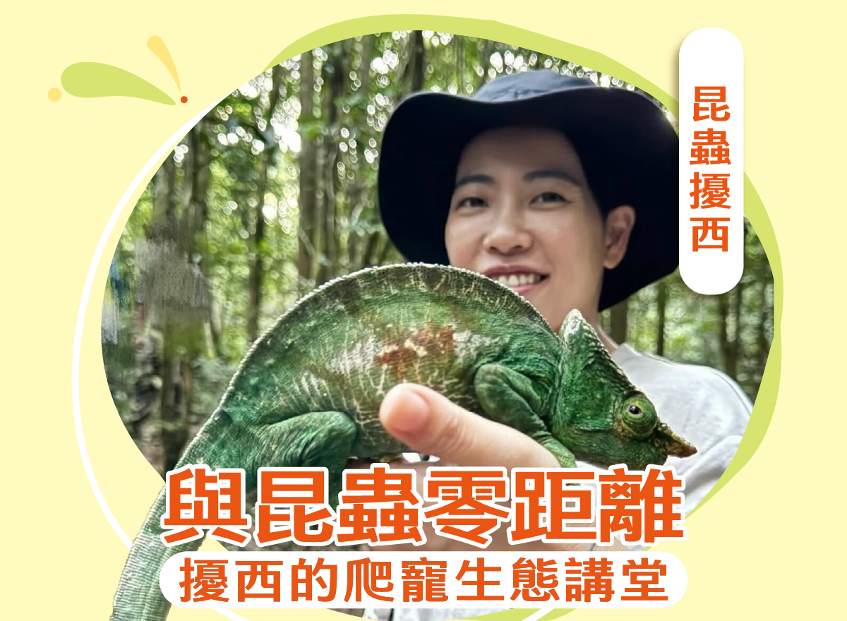 與昆蟲零距離：擾西的爬寵生態講堂