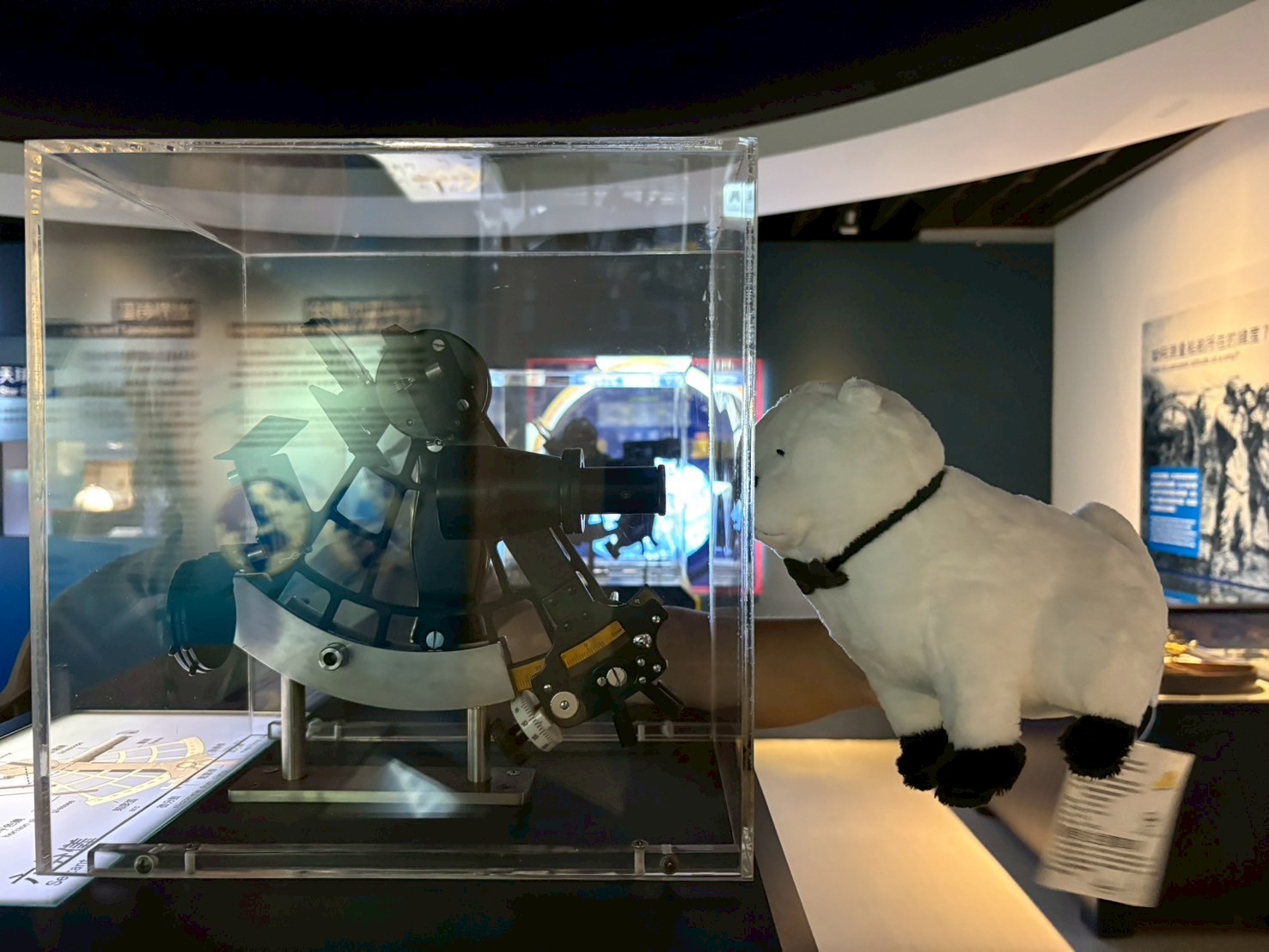 娃娃遊本館示範照2